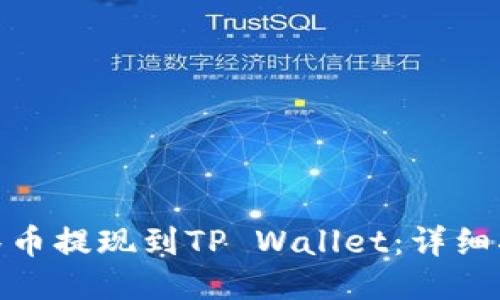 如何将抹茶币提现到TP Wallet：详细指南与步骤