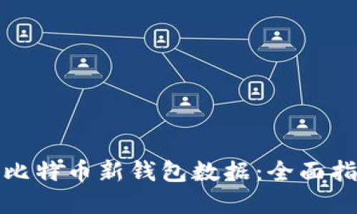 如何高效同步比特币新钱包数据：全面指南与实用技巧