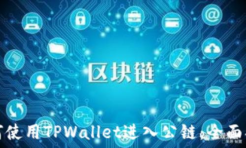   
如何使用TPWallet进入公链：全面指南