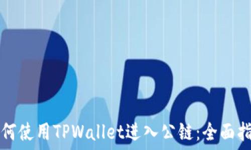   
如何使用TPWallet进入公链：全面指南
