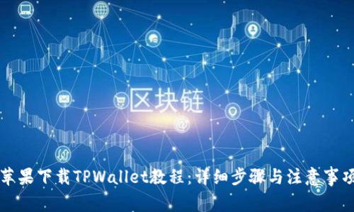 苹果下载TPWallet教程：详细步骤与注意事项