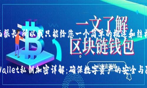 上面很长，所以我只能给您一个简单的概述和结构。

:
TPWallet私钥加密详解：确保数字资产的安全与隐私