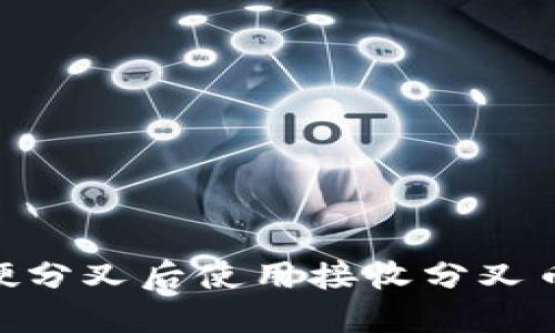 如何在BCH硬分叉后使用接收分叉币的全面指南